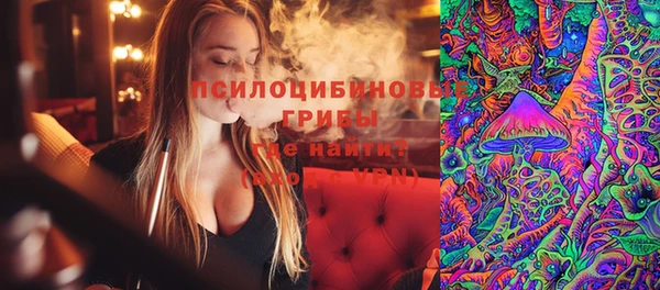 мдпв Костерёво