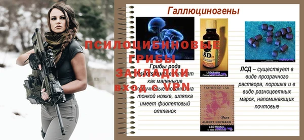 мдпв Костерёво