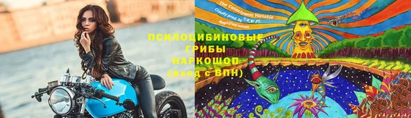 меф Корсаков