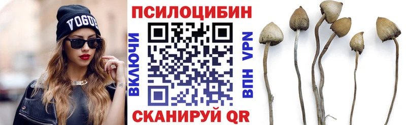 Псилоцибиновые грибы Psilocybine cubensis  Купить закладки  Аргун 